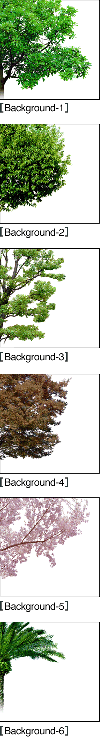 �Y�i�C���[�W