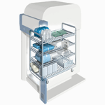 �T���l�C��